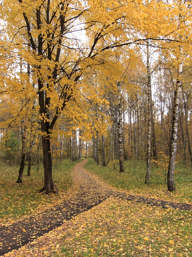 В аллее городского парка