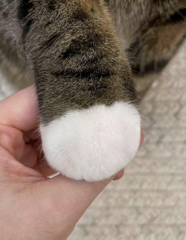 Любой стресс как рукой снимет