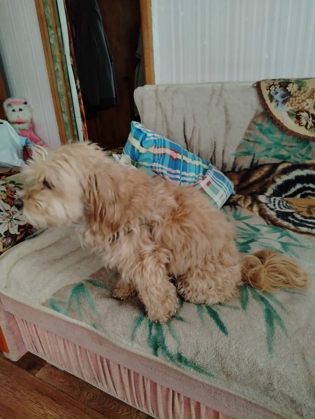 Добрый день.
В районе Павлово был найден этот симпатич?...