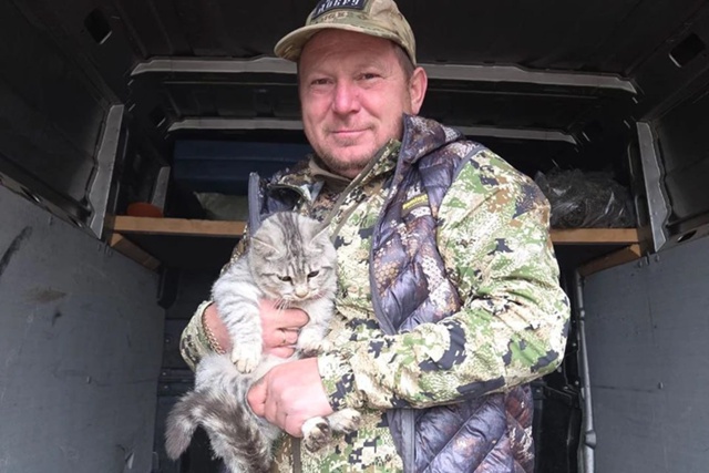 Кот Серёга из зоны СВО: настоящая история спасения
Вол...