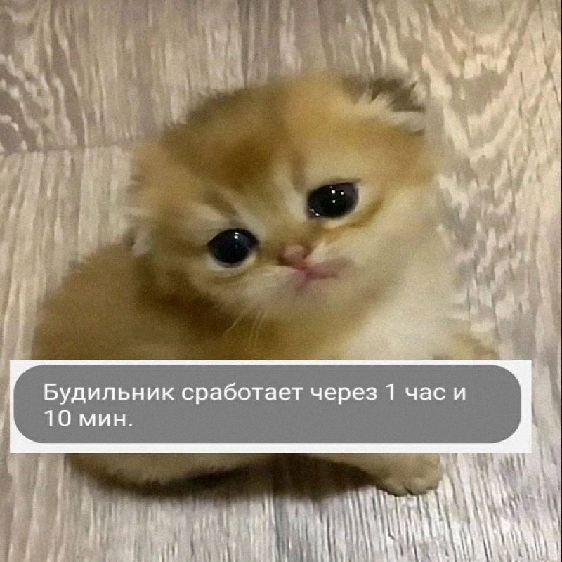 Утренняя подборочка