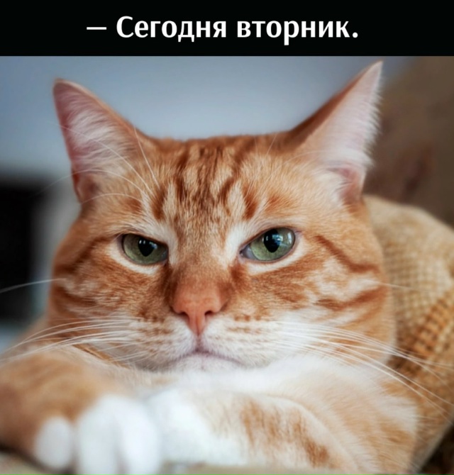 Легче не стало)