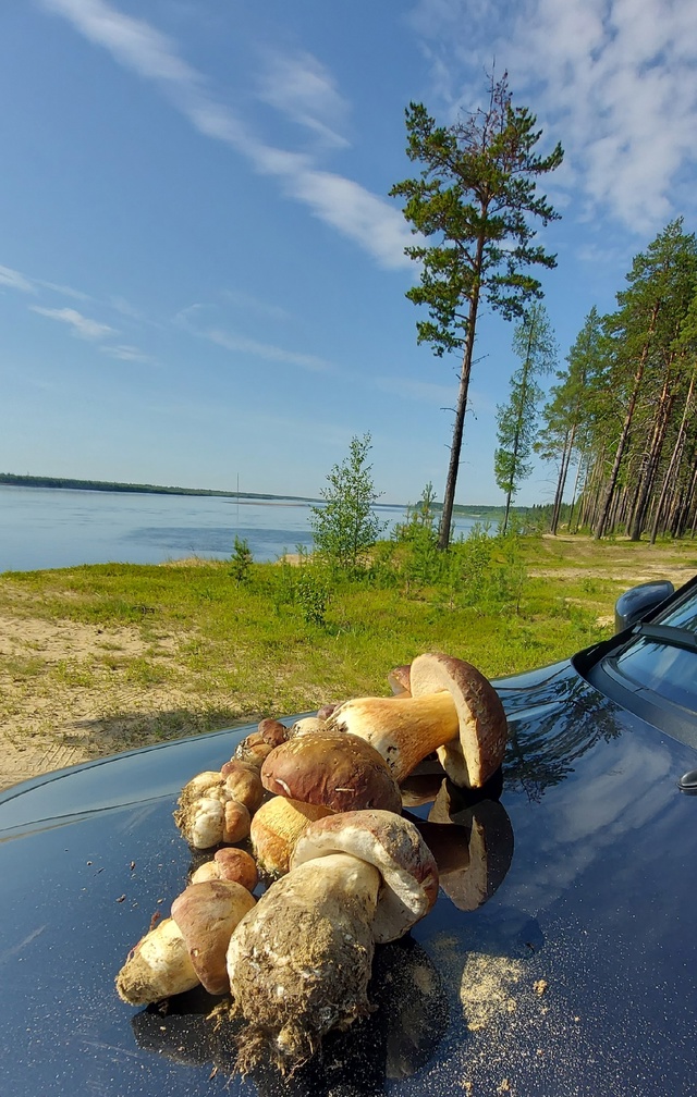 Прогулялись по берегу...😁