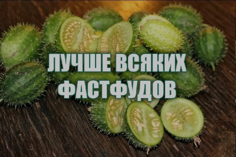 Ночная подборочка
Спать, режим