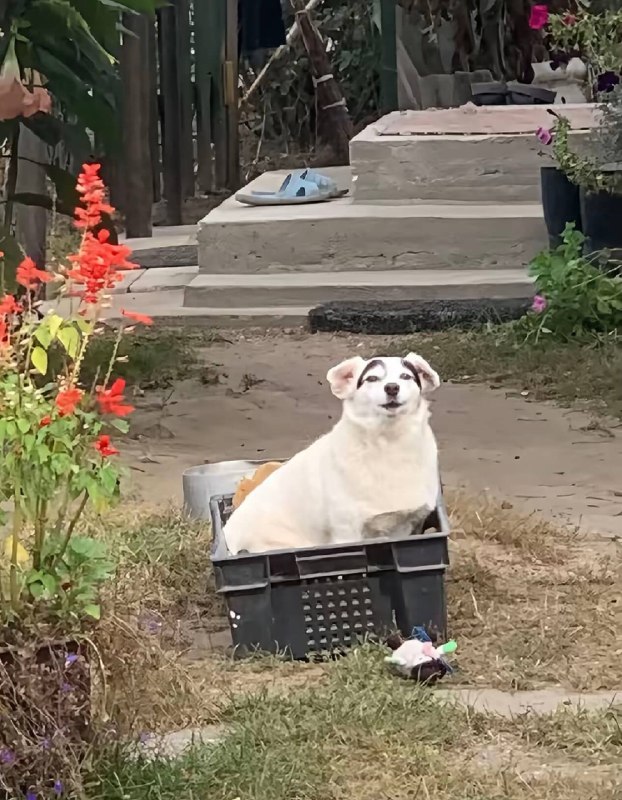 Табличка оправдана на 200%.