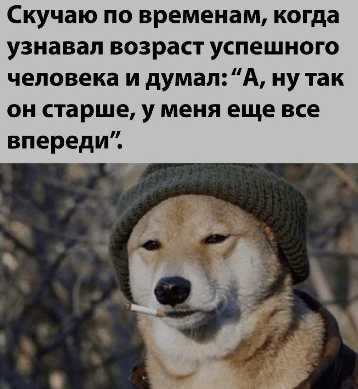 Ночная подборочка
Спать, режим