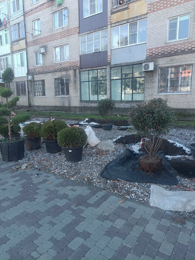 Тем, кто возмущался...