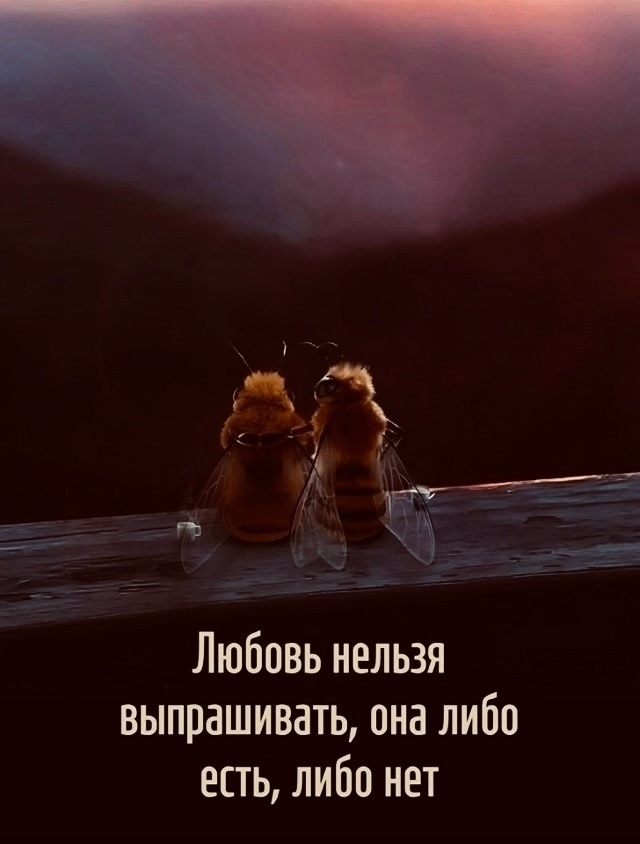 Про любовь
Пересылайте посты близким, ставьте реакци...