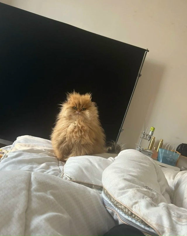 Когда шестидневка