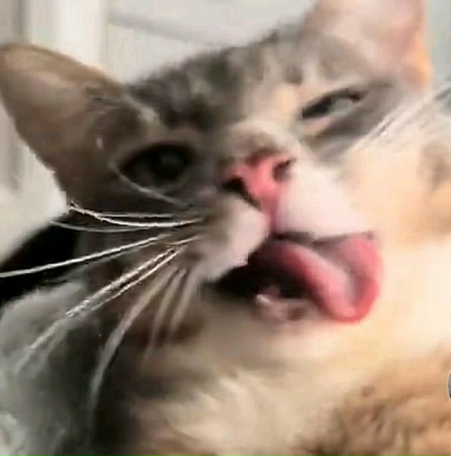 Наслаждайтесь едой