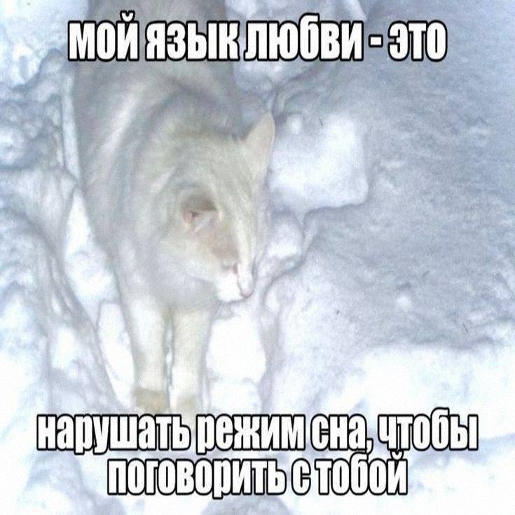 Утренняя подборочка