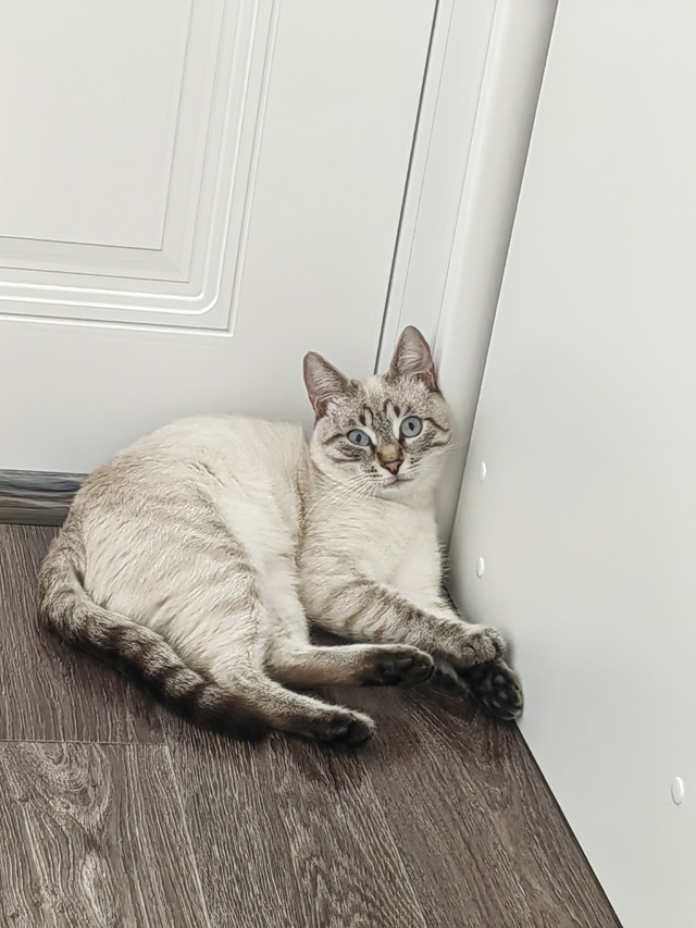 Наш ребёночек😻😻😻