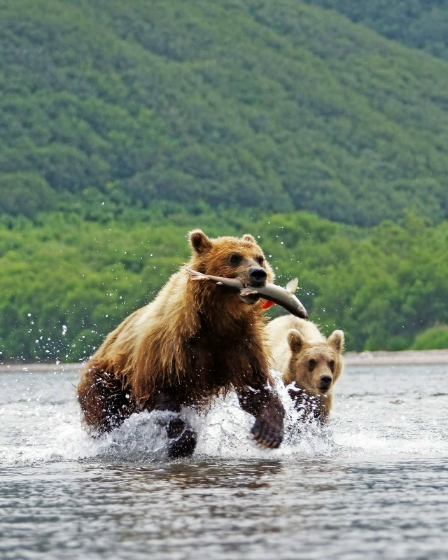 Камчатка🇷🇺