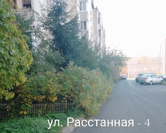 ‼️ Уважаемые Озеленители придомовых территорий. Вы к?...