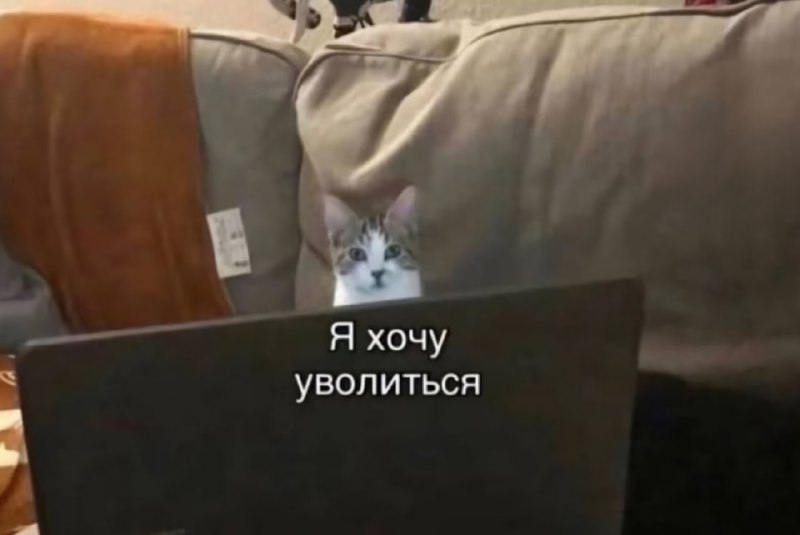 Когда вышел на РАБоту после майских