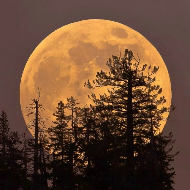 😍 Россиянам обещают одно из самых крутых суперлуний в...