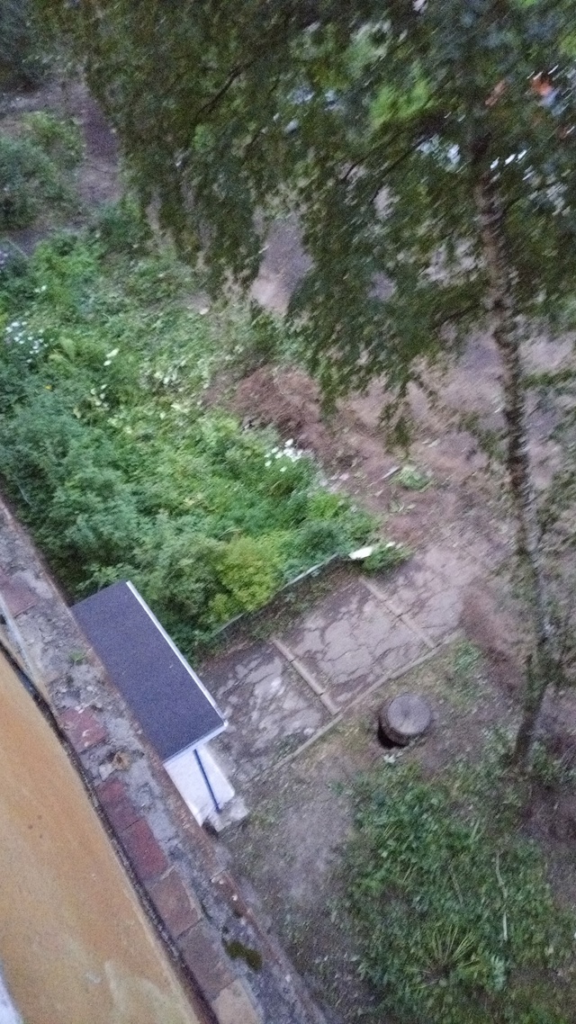 Вот такие методы благоустройства территории на Панина...