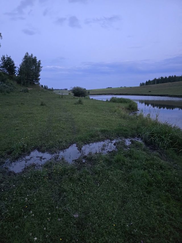 ‼️Поселок Мичуринский , толмачевское озеро , в речку т...