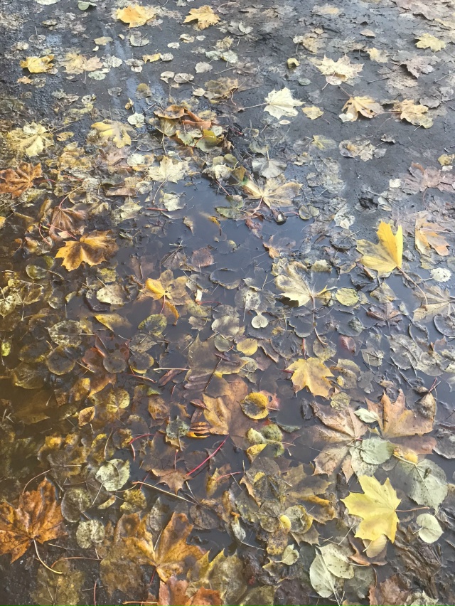 Вот малая часть наших «тротуаров»