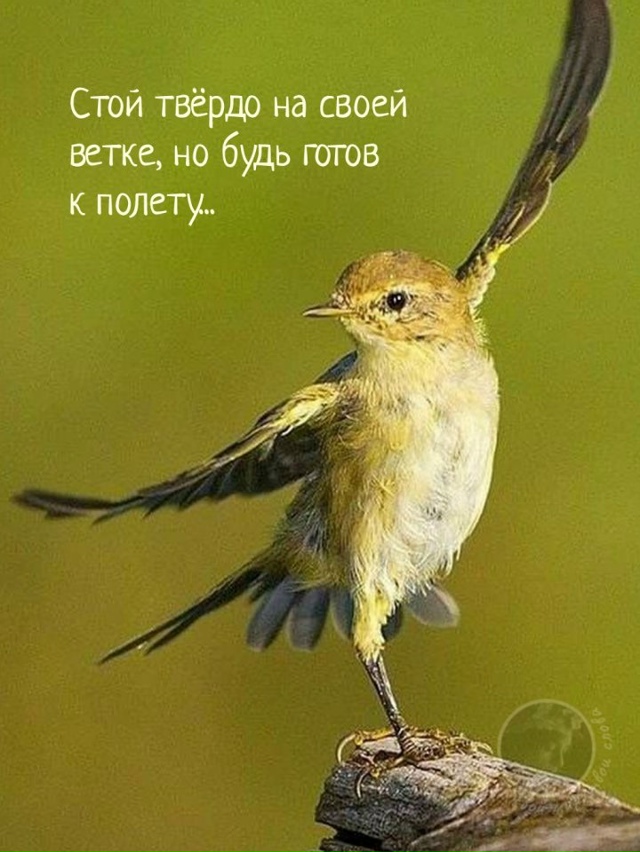 Будьте смелее!
