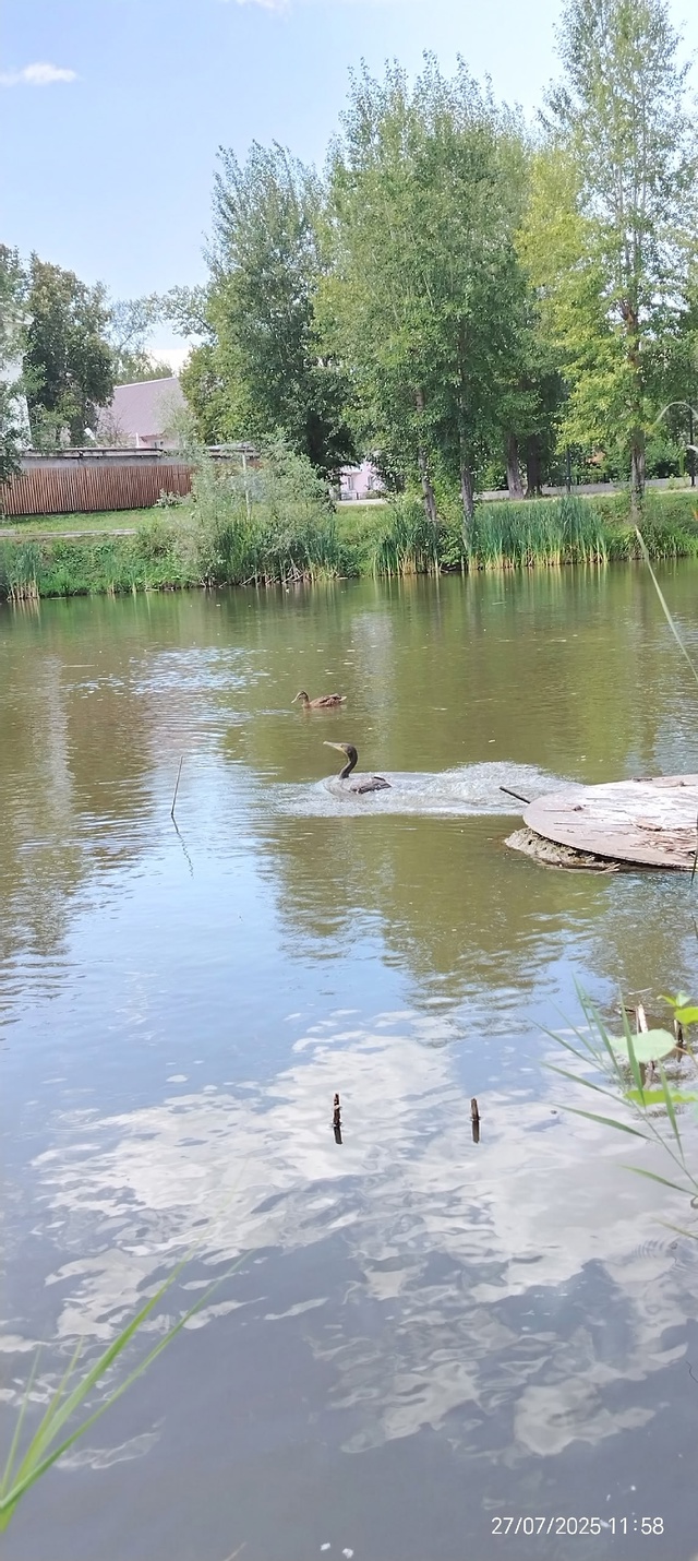 Парк Победы.