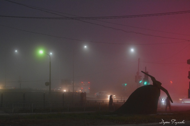 Спокойной ночи 🌙
Фото: Дарья Глухова
