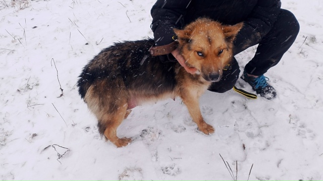 🆘️🆘️🆘️🆘️🆘️🆘️🆘
️Уважаемые жители нашего го?...