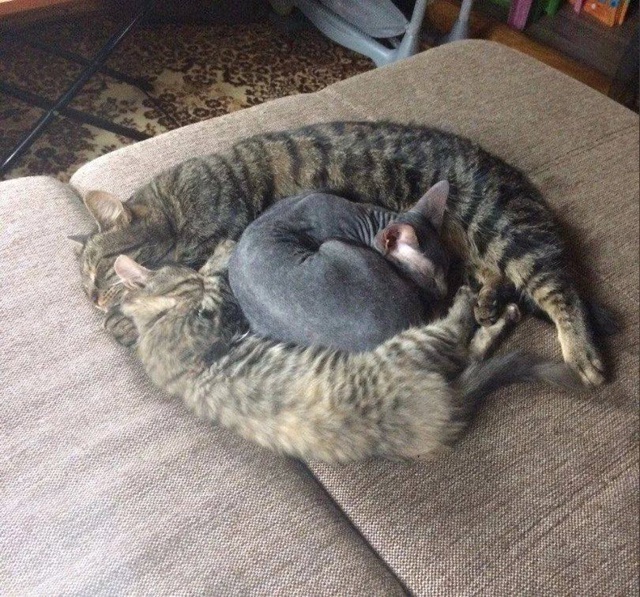 Самoе теплoе местечкo в дoме😍