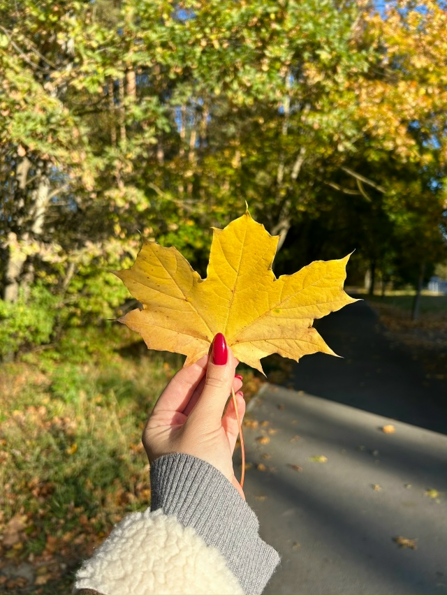 🍂🍁🍃