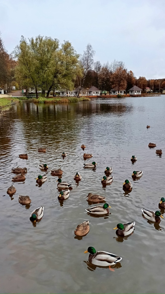 Ещё весело!!!