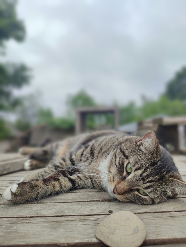 #Мотя