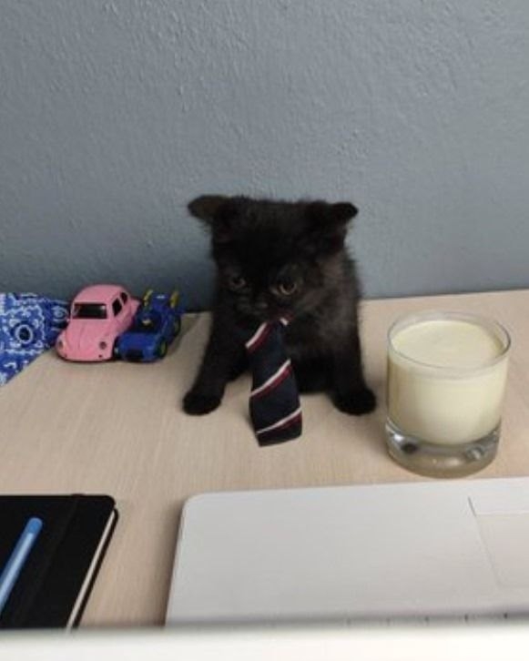 Понедельник