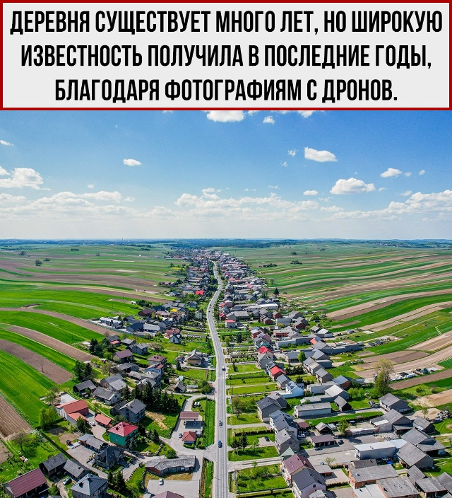«Я живу на главной улице» - может сказать каждый житель...