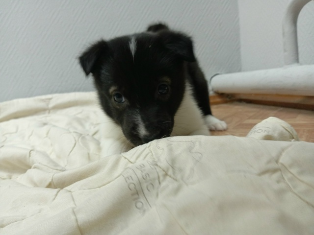 Приветствуем всех ещё раз!
Месяц назад мы нашли броше?...