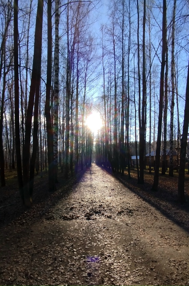 11.11.25г.
побольше бы таких дней, ясных, ярких и красивых!!!...