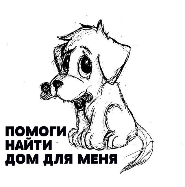 Помогите Неде репостом🙏Санкт-Петербург и Ленобласть ...