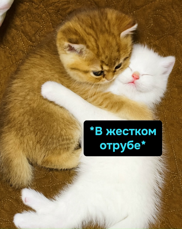 Выбор фильма — испытание, финал всегда один: обнимашки...