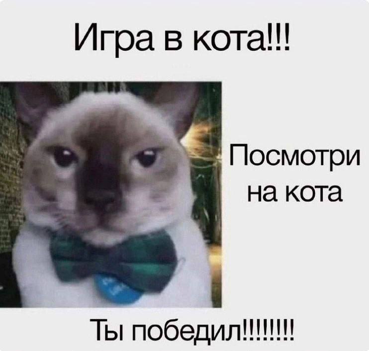 Утренняя подборочка