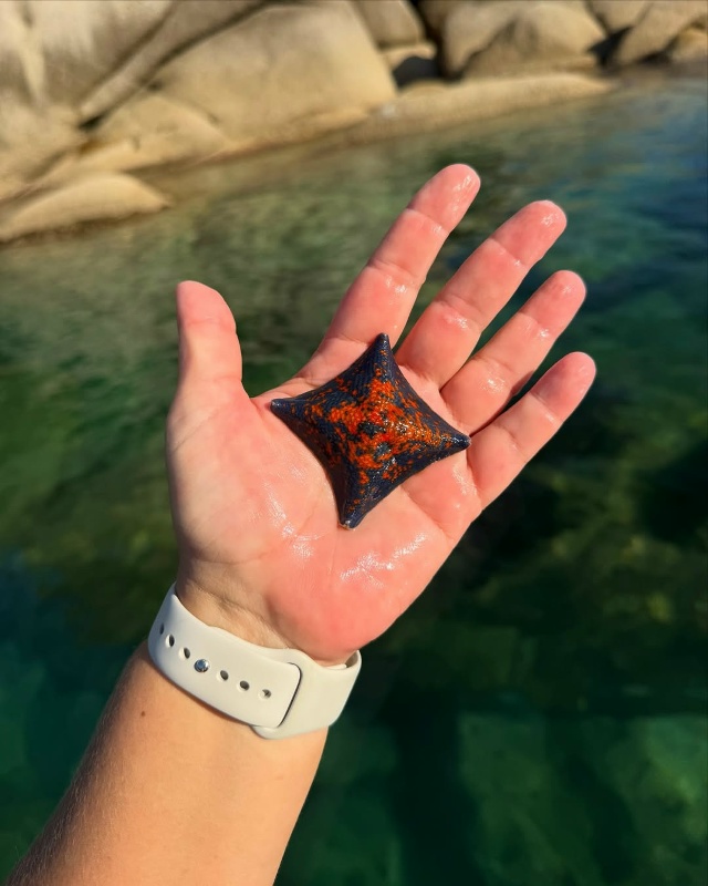 Приморский край 🇷🇺