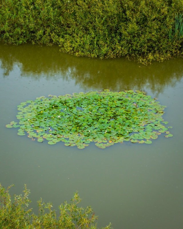 Стрелу никто не терял? ?
Найдено жилище той самой цар...