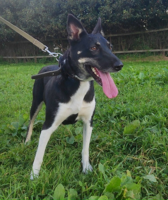 Санкт-Петербург ❗ ❗ ❗
Привет,меня зовут Альма.️❤️❤?...