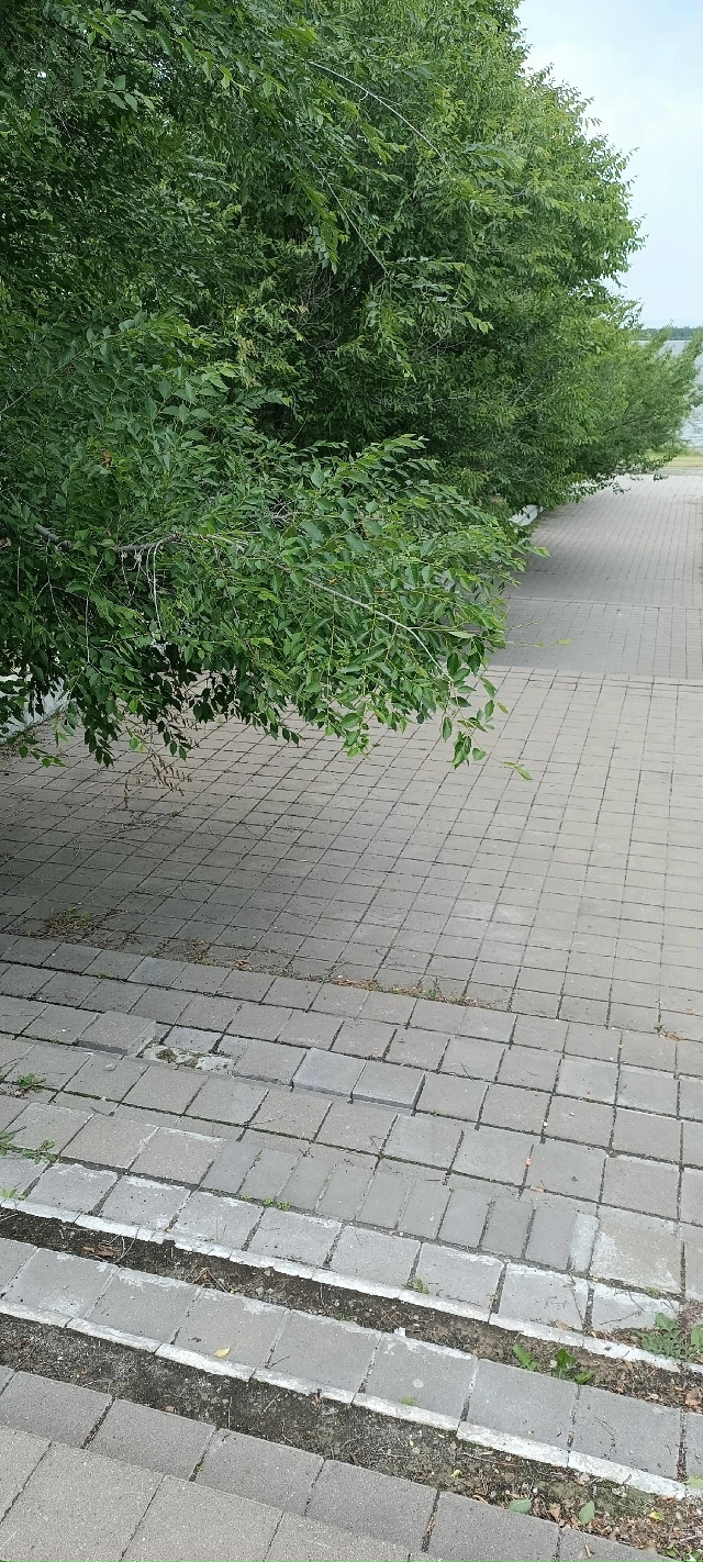 Хочется увидеть ответ администрации города? Новое всё ...