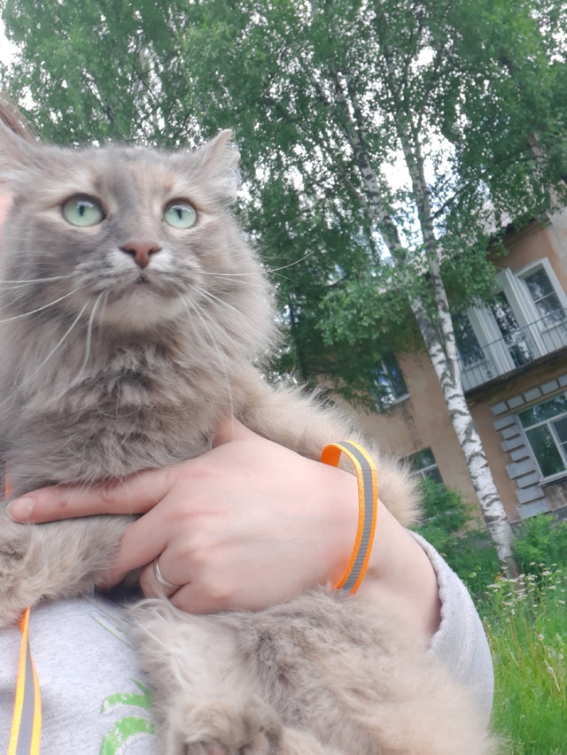 Помогите пожалуйста🙏🙏🙏 найти! В районе д. 36 по ул.Ле?...
