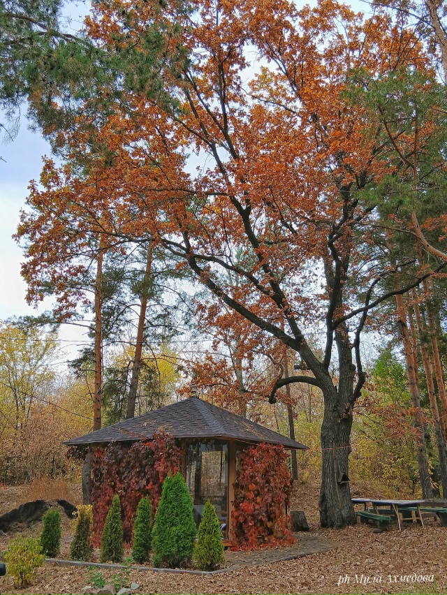 Православный храм «Церковь Успения Пресвятой Богород?...