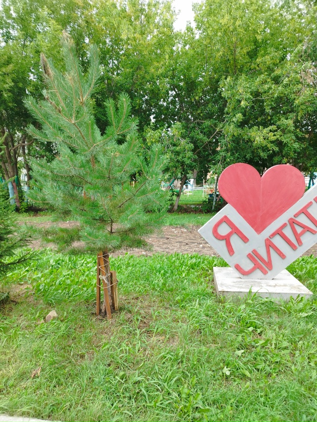 🌲В конце прошлой недели мы рассказали о том, что злоде...
