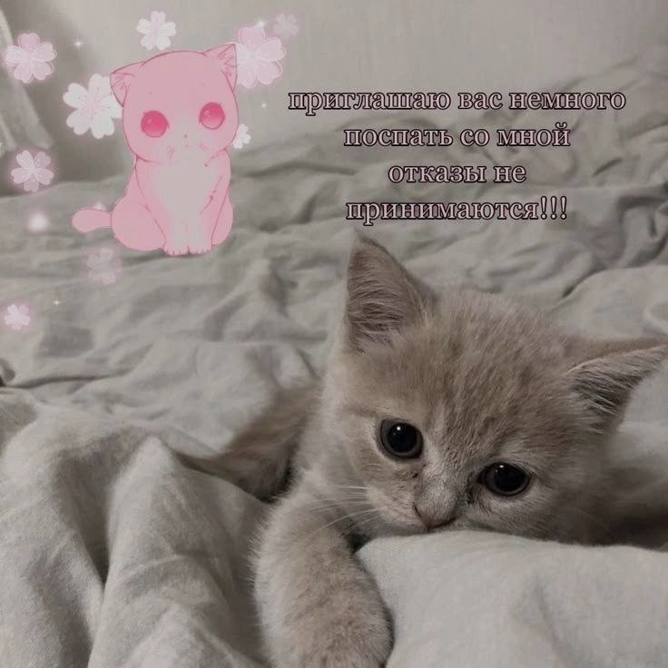 Ночная подборочка
Спать, режим