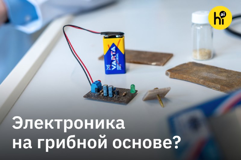 💻 Печатные платы начали делать из грибных отходов
Обычный текстолит делают из стекловолокна и эпокс