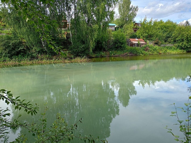 Вчера, 17.07.2025 в воду залива, впадающего выше Камской ГЭС...