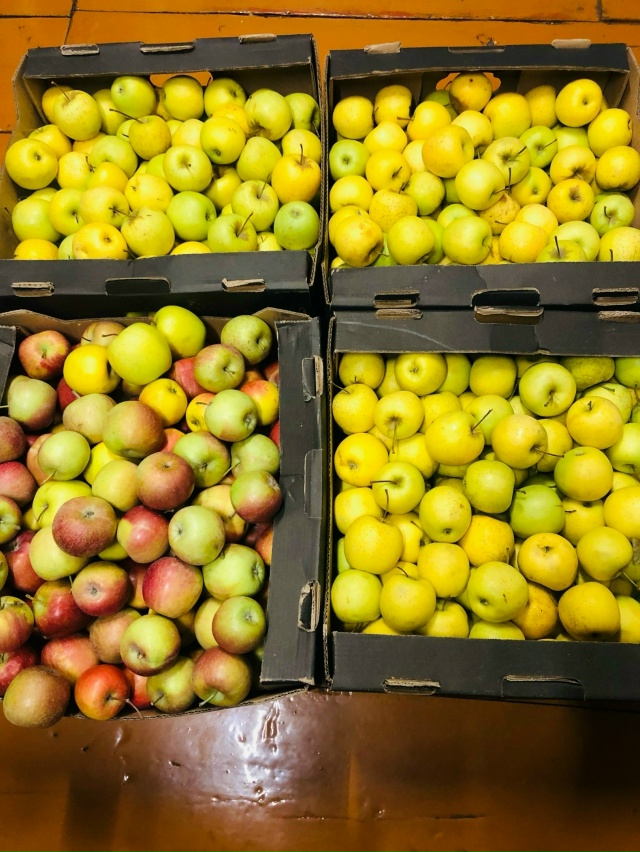Продаю яблоки сорт Голден и Делишес.Мягкие,сладкие, со?...