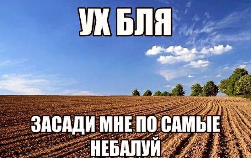 какое впечатление на девушек производят мужики по их мнению, когда с первого дня начинают пошлятнича